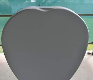 Click image for larger version. 

Name:	vex-bum.jpg 
Views:	228 
Size:	155.0 KB 
ID:	26544