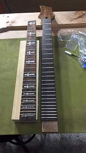 Click image for larger version. 

Name:	PRS Neck 2.jpg 
Views:	198 
Size:	84.9 KB 
ID:	26815