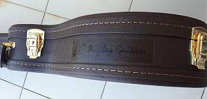 Click image for larger version. 

Name:	Guitar case 1.jpg 
Views:	159 
Size:	161.4 KB 
ID:	27563