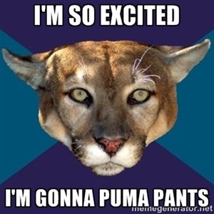 Name:  Puma.jpg
Views: 2460
Size:  17.7 KB
