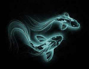 Click image for larger version. 

Name:	37758495_10217115156098035_2505840600893358080_n.jpg 
Views:	312 
Size:	35.4 KB 
ID:	28456