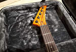 Click image for larger version. 

Name:	Bass Headstock Inside Case.jpg 
Views:	338 
Size:	197.3 KB 
ID:	28532