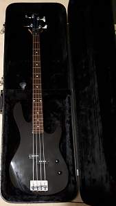 Click image for larger version. 

Name:	Black P Bass.jpg 
Views:	310 
Size:	97.0 KB 
ID:	28562