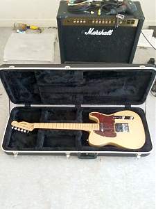 Click image for larger version. 

Name:	Tele Case 3_resized.jpg 
Views:	320 
Size:	175.8 KB 
ID:	28623