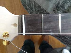 Click image for larger version. 

Name:	04 String test Nut.jpg 
Views:	419 
Size:	228.4 KB 
ID:	28627