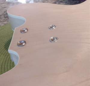 Click image for larger version. 

Name:	neck_bolts_ferrules.jpg 
Views:	539 
Size:	85.3 KB 
ID:	28818