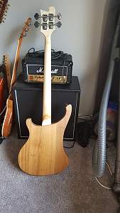 Click image for larger version. 

Name:	rc4backneck.jpg 
Views:	136 
Size:	522.7 KB 
ID:	29759