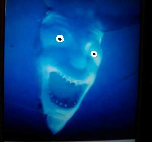 Click image for larger version. 

Name:	shark.jpg 
Views:	123 
Size:	63.0 KB 
ID:	29964
