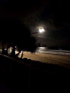 Click image for larger version. 

Name:	20190220_200804.jpg 
Views:	541 
Size:	114.8 KB 
ID:	30093
