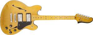 Click image for larger version. 

Name:	Fender Starcaster.jpg 
Views:	1139 
Size:	29.8 KB 
ID:	30614