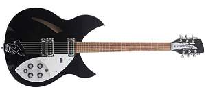Click image for larger version. 

Name:	Rickenbacker 300 Series.jpg 
Views:	644 
Size:	32.3 KB 
ID:	30699