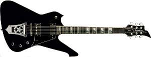 Click image for larger version. 

Name:	Washburn PS1800.jpg 
Views:	544 
Size:	46.3 KB 
ID:	30728