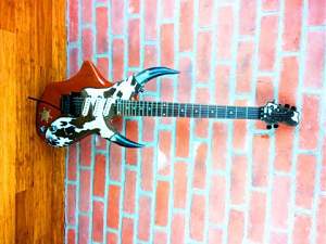 Click image for larger version. 

Name:	Unknown Cowcaster.JPG 
Views:	616 
Size:	50.4 KB 
ID:	30886