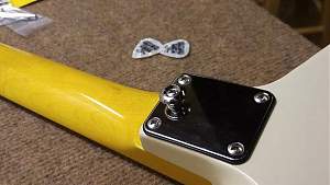Click image for larger version. 

Name:	neck-plate2.jpg 
Views:	803 
Size:	70.3 KB 
ID:	31121