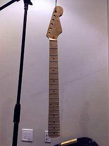 Click image for larger version. 

Name:	neck1.jpg 
Views:	677 
Size:	143.2 KB 
ID:	31514
