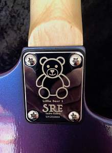Click image for larger version. 

Name:	Neck plate.jpg 
Views:	422 
Size:	195.0 KB 
ID:	31873