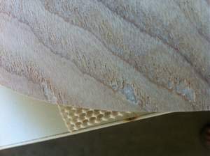 Click image for larger version. 

Name:	photo 6.jpg 
Views:	224 
Size:	24.7 KB 
ID:	3208