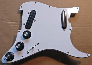 Click image for larger version. 

Name:	_pickguard_unwired_front.jpg 
Views:	447 
Size:	143.8 KB 
ID:	32090