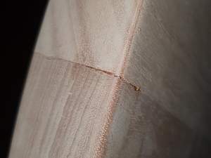 Click image for larger version. 

Name:	crack1.jpg 
Views:	749 
Size:	116.1 KB 
ID:	32641