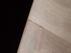 Click image for larger version. 

Name:	crack3.jpg 
Views:	765 
Size:	138.1 KB 
ID:	32643