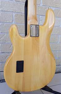 Click image for larger version. 

Name:	Back close up 9.jpg 
Views:	357 
Size:	185.3 KB 
ID:	33480