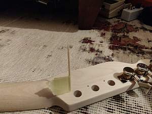 Click image for larger version. 

Name:	photo_2020-03-01_02-37-08.jpg 
Views:	405 
Size:	184.6 KB 
ID:	33973