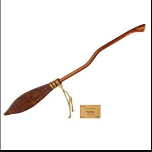 Click image for larger version. 

Name:	broom.JPG 
Views:	325 
Size:	19.4 KB 
ID:	34360