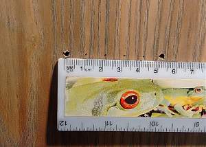 Click image for larger version. 

Name:	69.jpg 
Views:	339 
Size:	559.7 KB 
ID:	36025