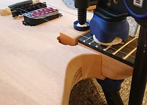 Click image for larger version. 

Name:	Neck3.jpg 
Views:	483 
Size:	751.6 KB 
ID:	36181