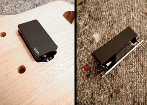 Click image for larger version. 

Name:	PUP3.jpg 
Views:	303 
Size:	494.1 KB 
ID:	36989