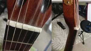 Click image for larger version. 

Name:	nut_flamenco.jpg 
Views:	491 
Size:	107.8 KB 
ID:	37494