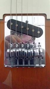 Click image for larger version. 

Name:	Babicz Tele Bridge_resized.jpg 
Views:	328 
Size:	146.1 KB 
ID:	37640