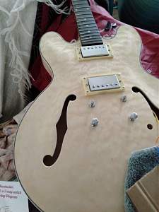 Click image for larger version. 

Name:	guitar.jpg 
Views:	259 
Size:	36.4 KB 
ID:	38312