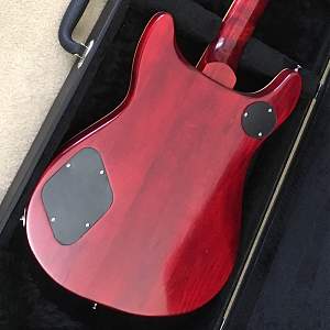 Click image for larger version. 

Name:	prs back 1k x 1k.JPG 
Views:	390 
Size:	110.0 KB 
ID:	38339