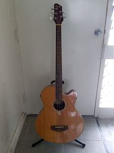 Click image for larger version. 

Name:	5-String Acoustic-electric Bass_resized.jpg 
Views:	327 
Size:	99.0 KB 
ID:	38438