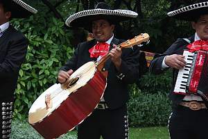 Click image for larger version. 

Name:	Guitarron.jpg 
Views:	304 
Size:	94.2 KB 
ID:	38448