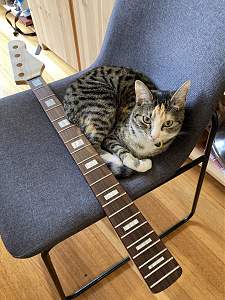 Click image for larger version. 

Name:	IMG_2378.jpeg 
Views:	2106 
Size:	739.6 KB 
ID:	39337