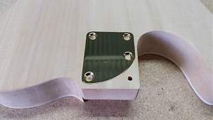 Click image for larger version. 

Name:	TL 3.jpg 
Views:	735 
Size:	264.6 KB 
ID:	39774