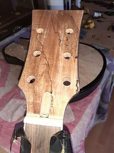 Click image for larger version. 

Name:	Guitar build.jpg 
Views:	155 
Size:	208.0 KB 
ID:	39866