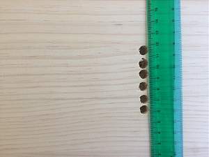 Click image for larger version. 

Name:	IMG_2517_1500.jpg 
Views:	179 
Size:	398.3 KB 
ID:	40095