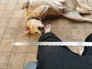 Click image for larger version. 

Name:	002.jpg 
Views:	2761 
Size:	524.8 KB 
ID:	41242