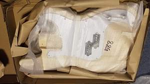Click image for larger version. 

Name:	PB BASS body as shipped.jpg 
Views:	516 
Size:	294.0 KB 
ID:	42436