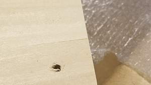 Click image for larger version. 

Name:	PB BASS neck cutout seam seperation.jpg 
Views:	542 
Size:	276.4 KB 
ID:	42440