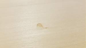 Click image for larger version. 

Name:	PB BASS wood blemish 1 closeup.jpg 
Views:	532 
Size:	174.0 KB 
ID:	42441