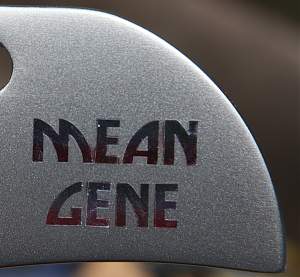 Click image for larger version. 

Name:	Mean_gene_bleed.jpg 
Views:	237 
Size:	907.9 KB 
ID:	42532