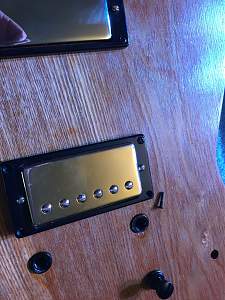 Click image for larger version. 

Name:	Pickup_Screw_Trim.jpg 
Views:	432 
Size:	796.5 KB 
ID:	42598