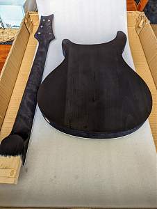 Click image for larger version. 

Name:	Body and Neck Back - 2.jpg 
Views:	260 
Size:	168.1 KB 
ID:	42678