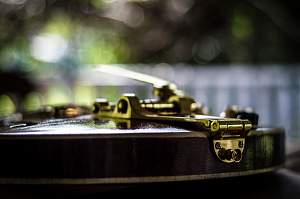 Click image for larger version. 

Name:	small photo-5.jpg 
Views:	947 
Size:	160.1 KB 
ID:	42957