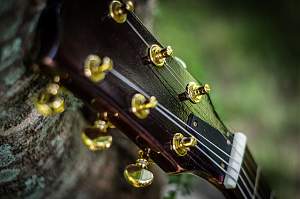 Click image for larger version. 

Name:	small photo-9.jpg 
Views:	955 
Size:	223.6 KB 
ID:	42959