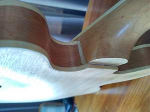 Click image for larger version. 

Name:	NeckJoint.jpg 
Views:	173 
Size:	118.9 KB 
ID:	43013